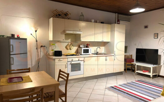 Bicamere arredato in centro