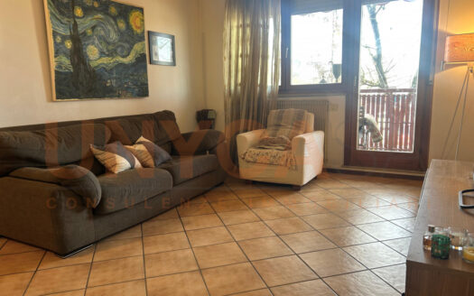 Appartamento luminoso in zona tranquilla e servita