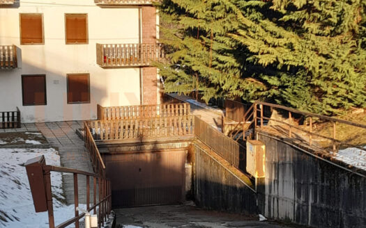 Ampio garage con cantina