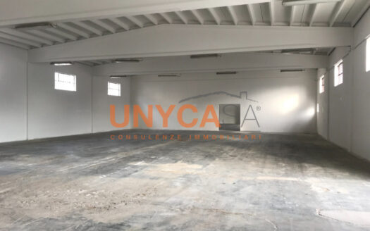 Vendita capannone San Martino Buon Albergo