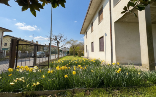 Caselle: Ampio Appartamento Al Piano Terra Con Scoperto