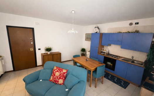 Affitto appartamento Sarmeola 1 camere