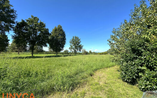 Treponti di Teolo – porzione con tre camere, giardino e garage