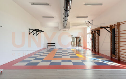 Palestra: location moderna e pronta all’uso